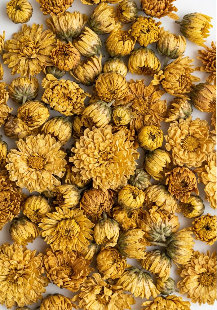 菊花茶